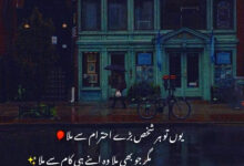 Yoon to har shakhs bare ehtaram se mila