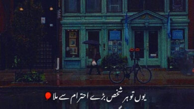 Yoon to har shakhs bare ehtaram se mila